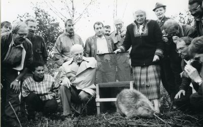 zwartwit foto groep mensen kijkt naar het loslaten van een bever