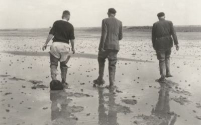 Invoer Dijken van Polders afgerond