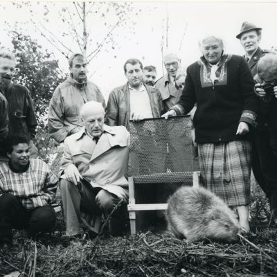 zwartwit foto groep mensen kijkt naar het loslaten van een bever